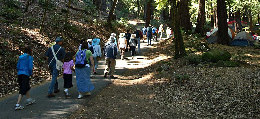 Sanborn Ranger hike