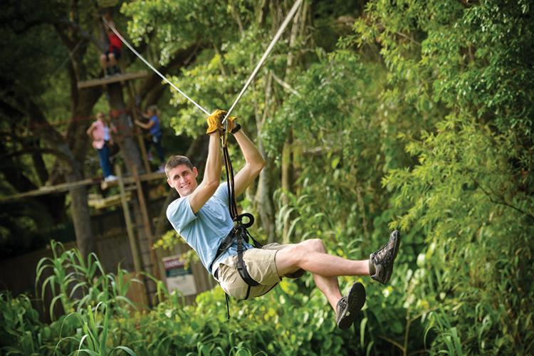Crocodile Crossing - ZIP through the Zoo5