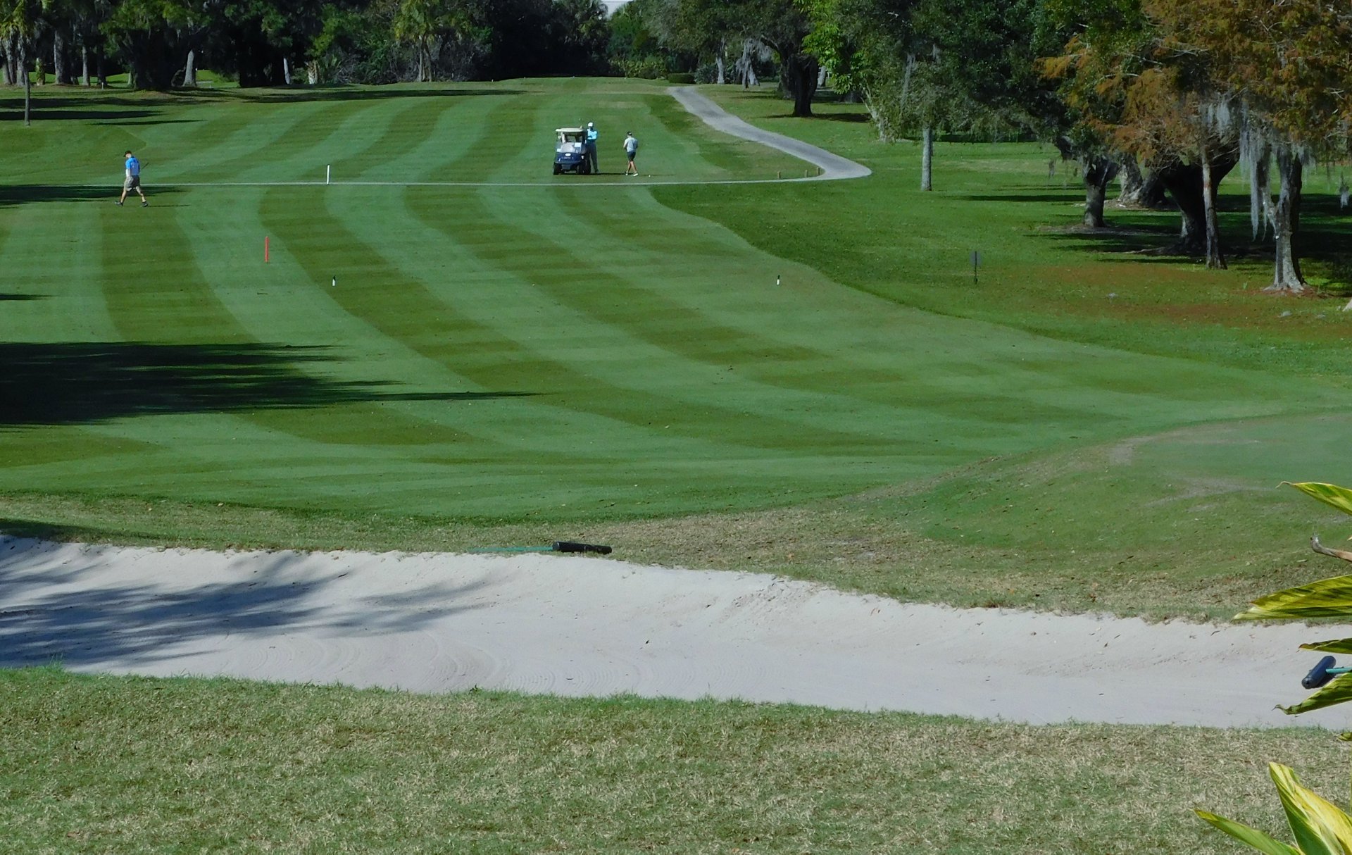 Dunedin Golf Club2