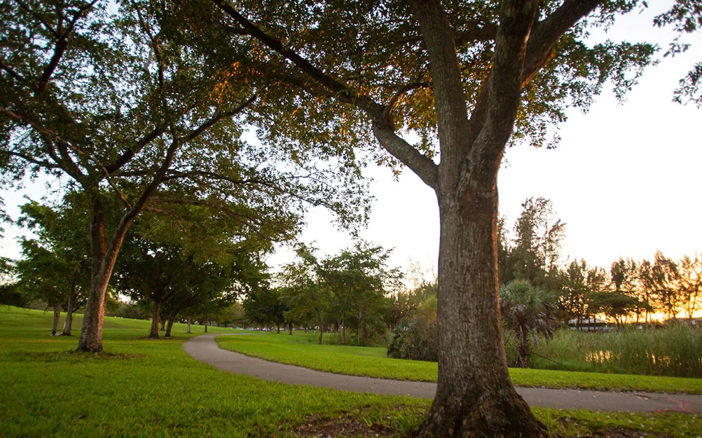 Tropical Park6