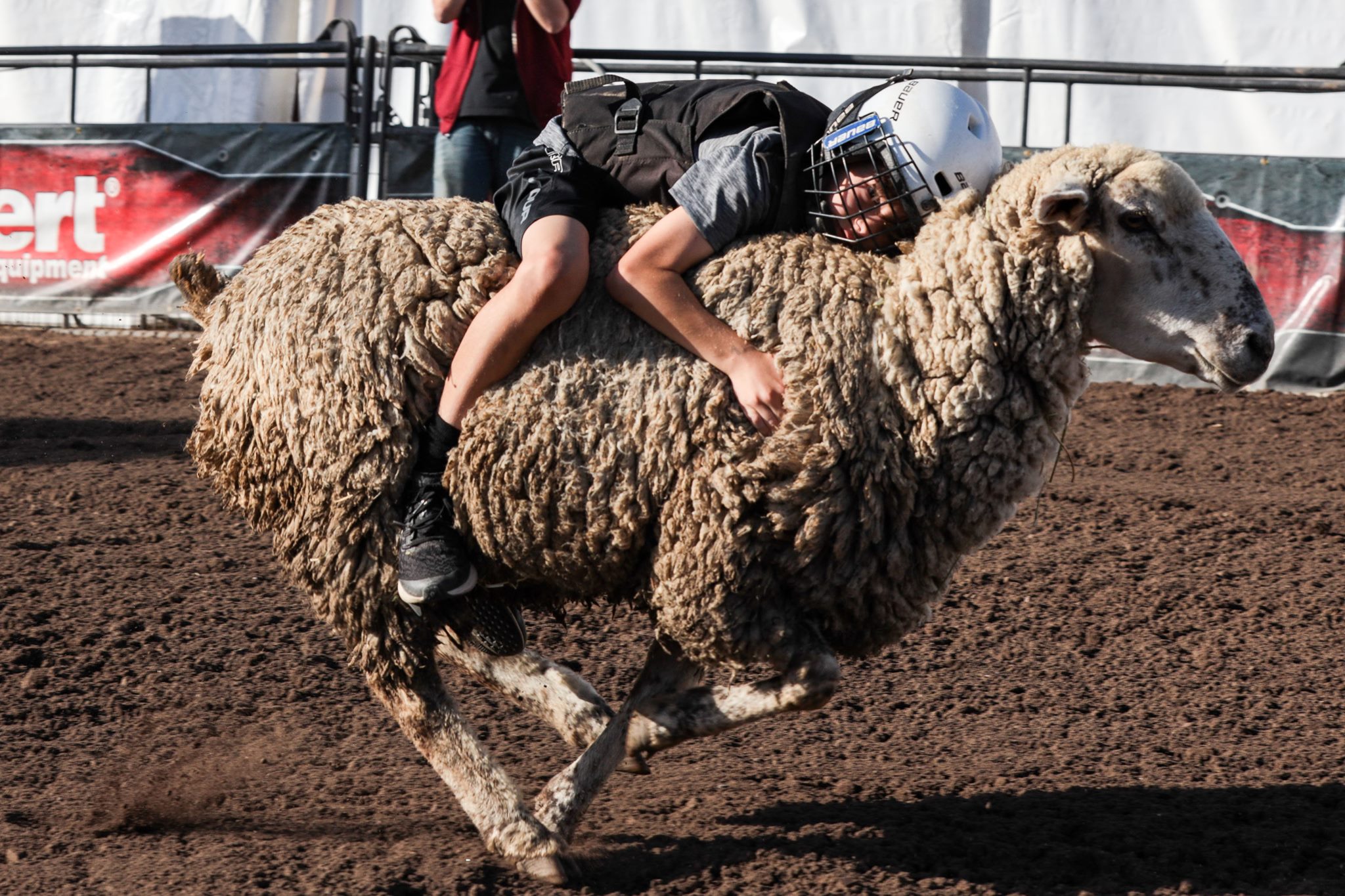 Fresno Fairgrounds12