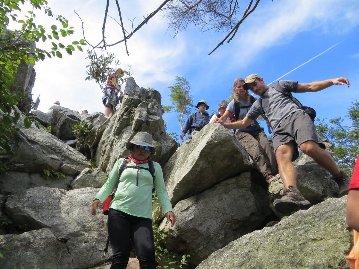 Hawk Mountain11