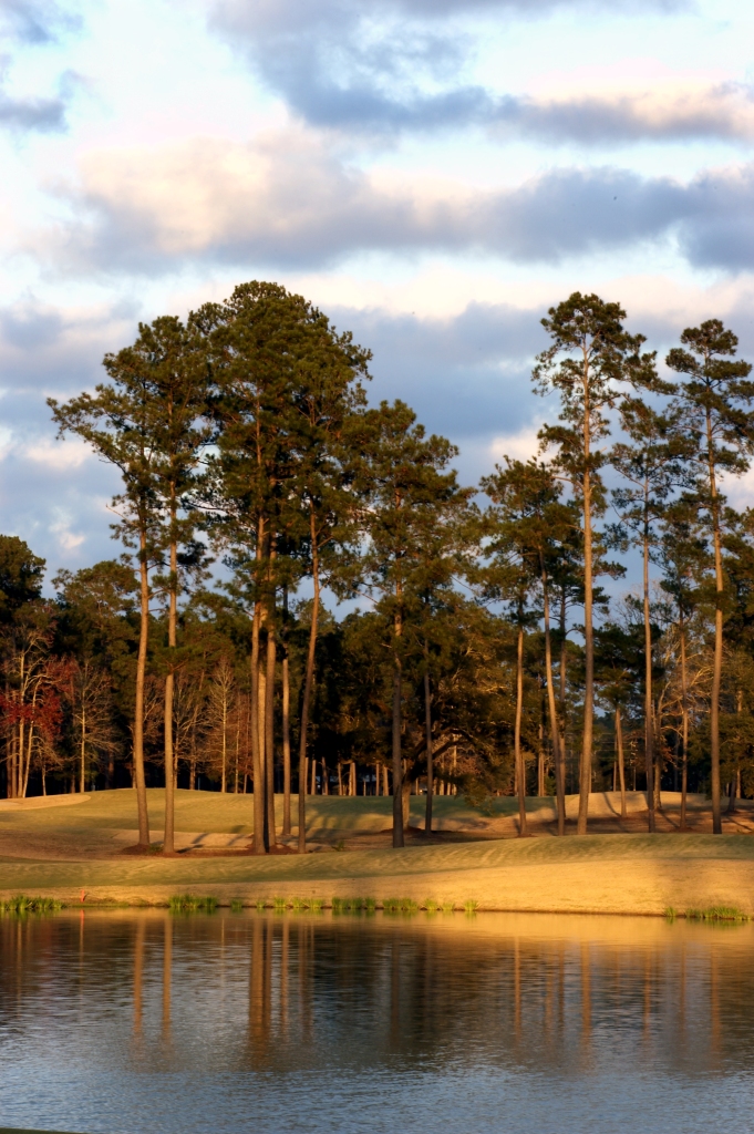 carter plantation golf course visit livingston parish lousiana.jpeg