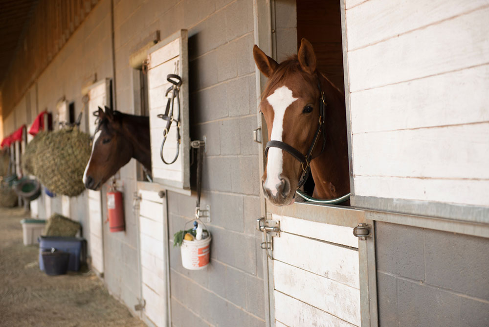 Aiken Training Track3