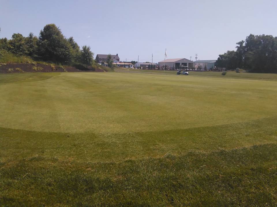 Mayapple Golf Club4