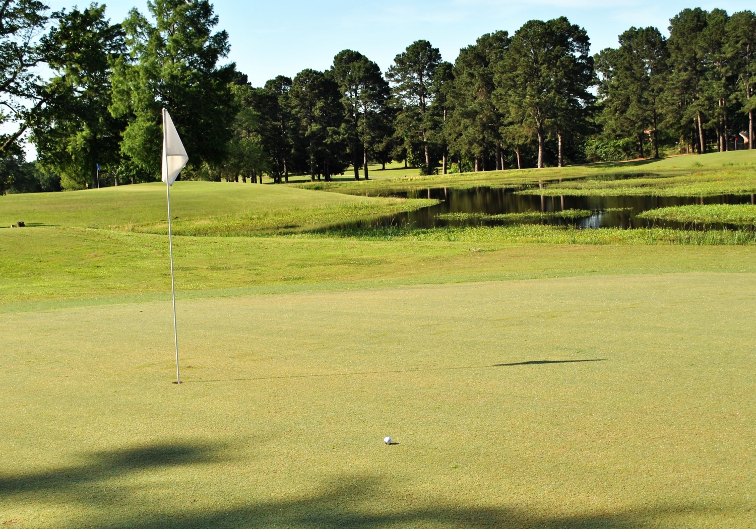 Querbes Park Golf Course7