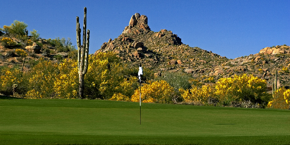 Troon North Golf Club7