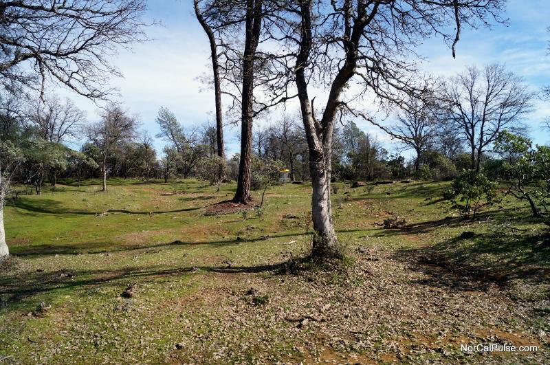 Buckeye Park 3
