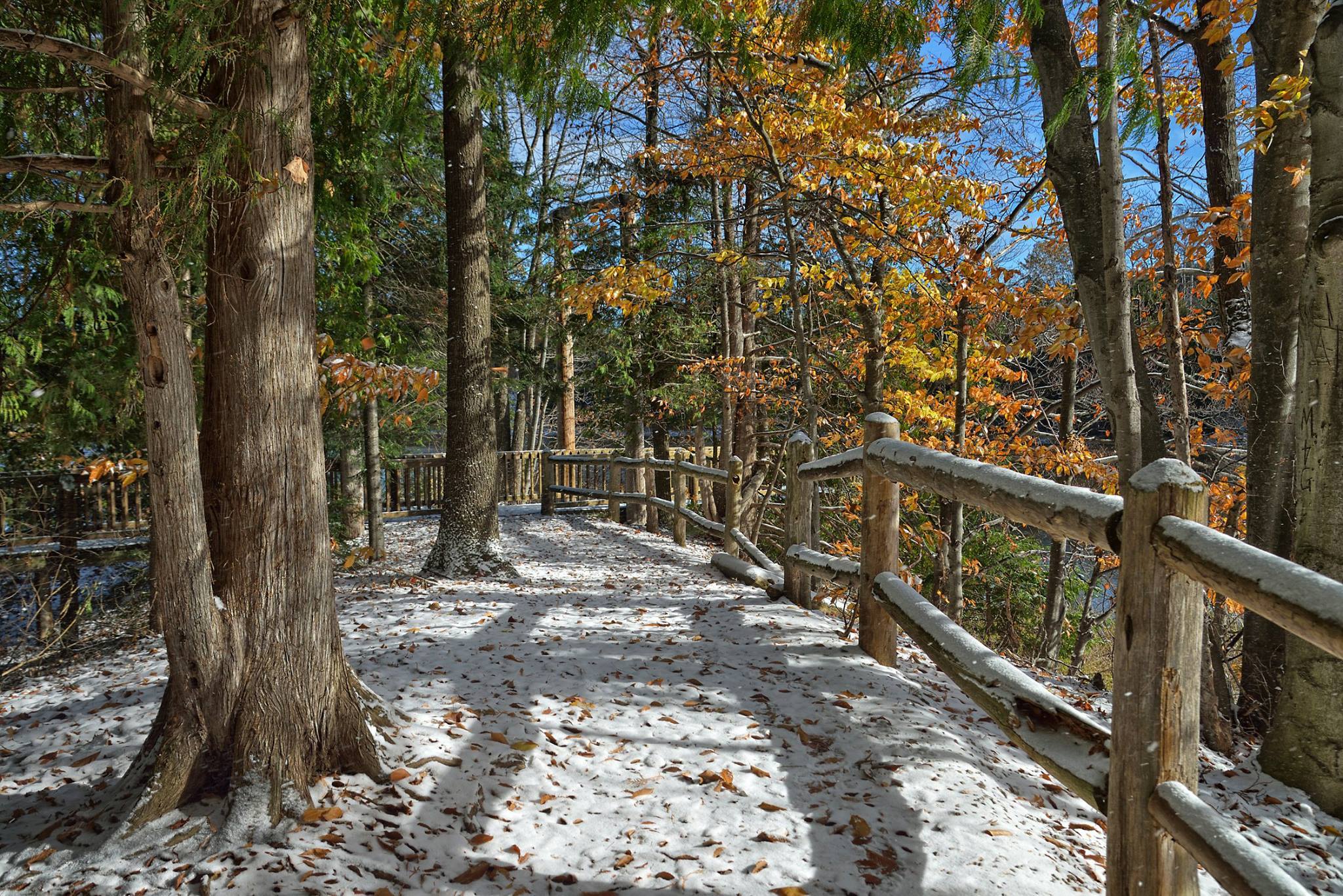 AnyConv.com__Grand Traverse Natural Education Preserve