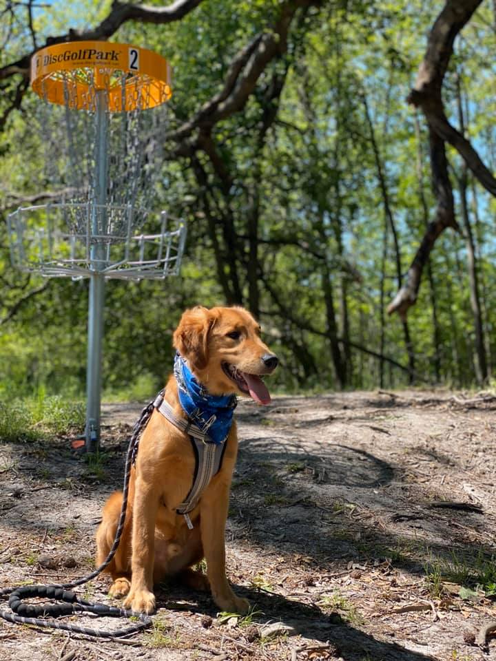 farmville-disc-golf-course-gallery-08