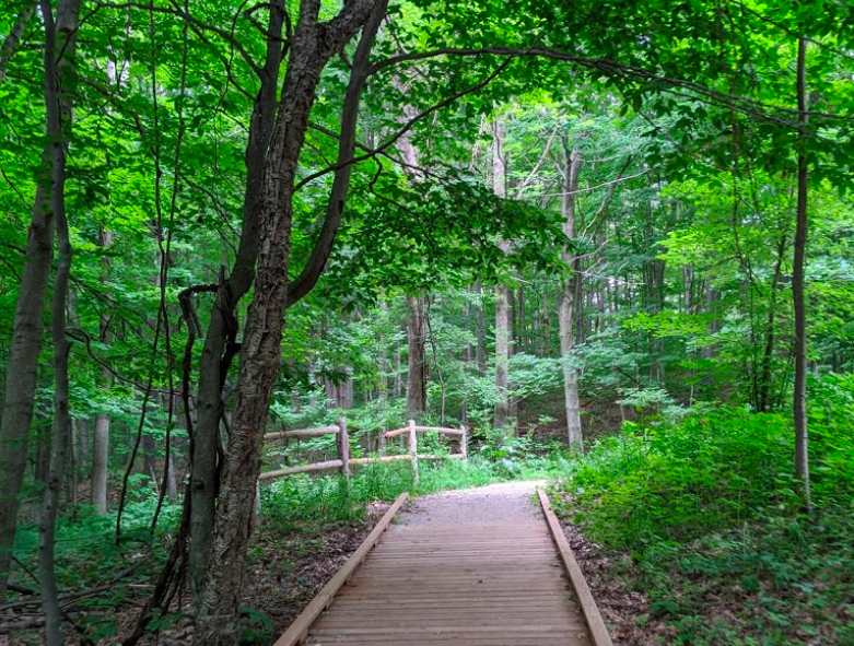 Arcadia Dunes 5
