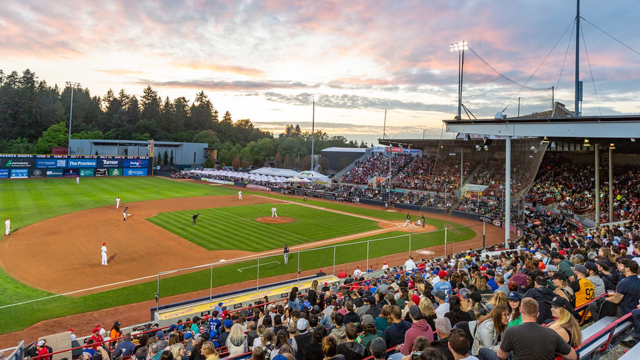 nat bailey stadium.jpeg