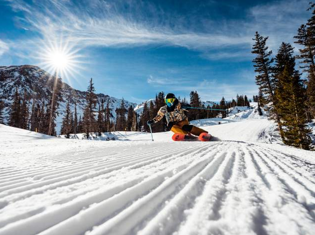 Snowbird skiing.png