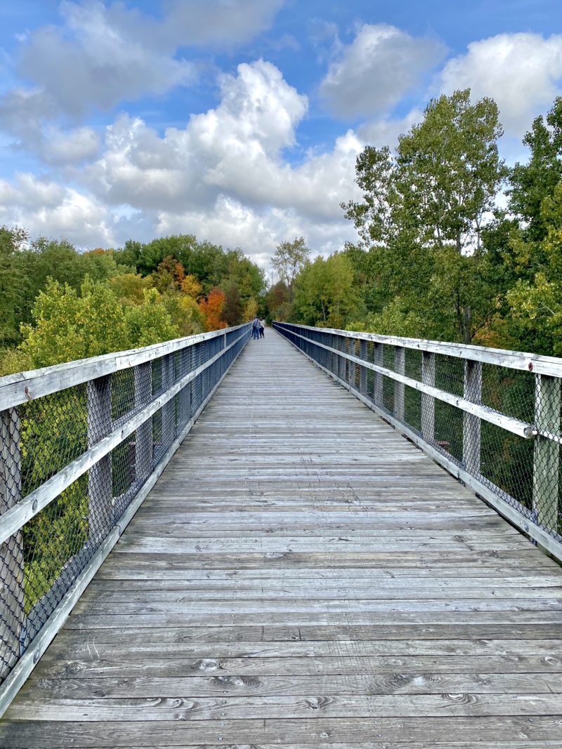 member_info_408-mill_creek_trestle_avoca_ks_2020_pic_010_1601918530