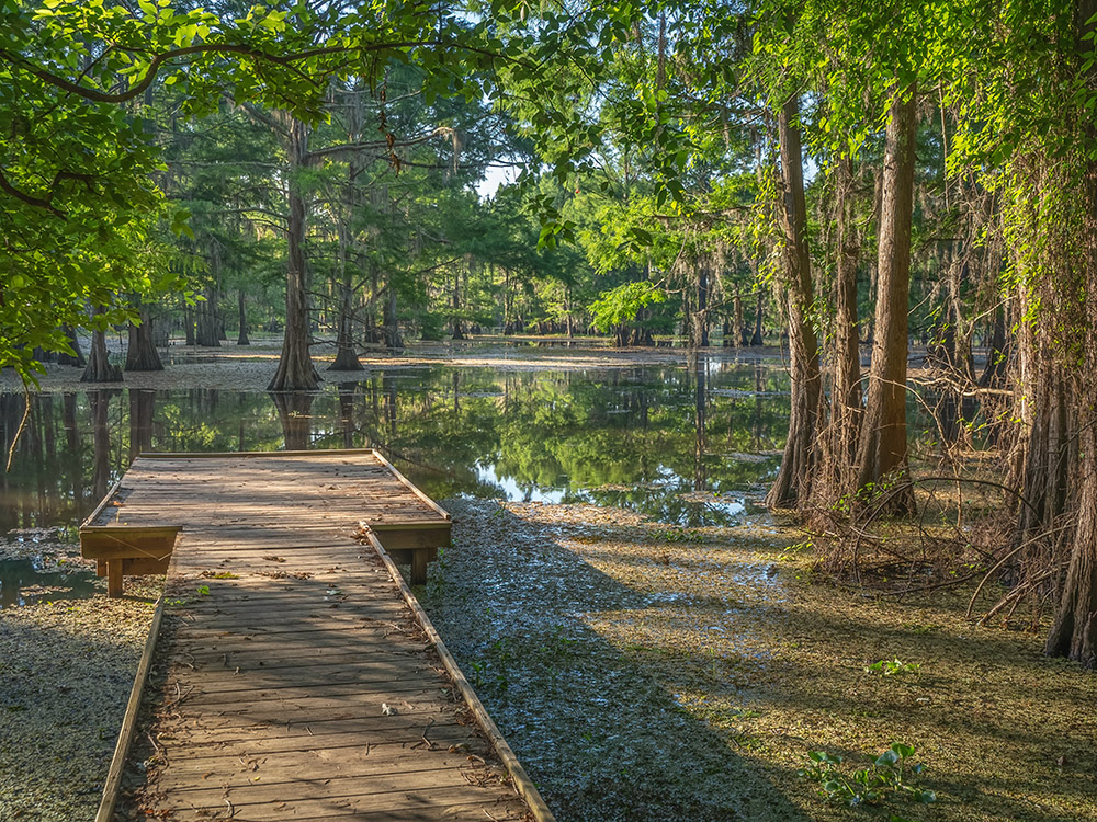 Lake_Bistineau_Cypress_Pier_03_1000x750.jpg
