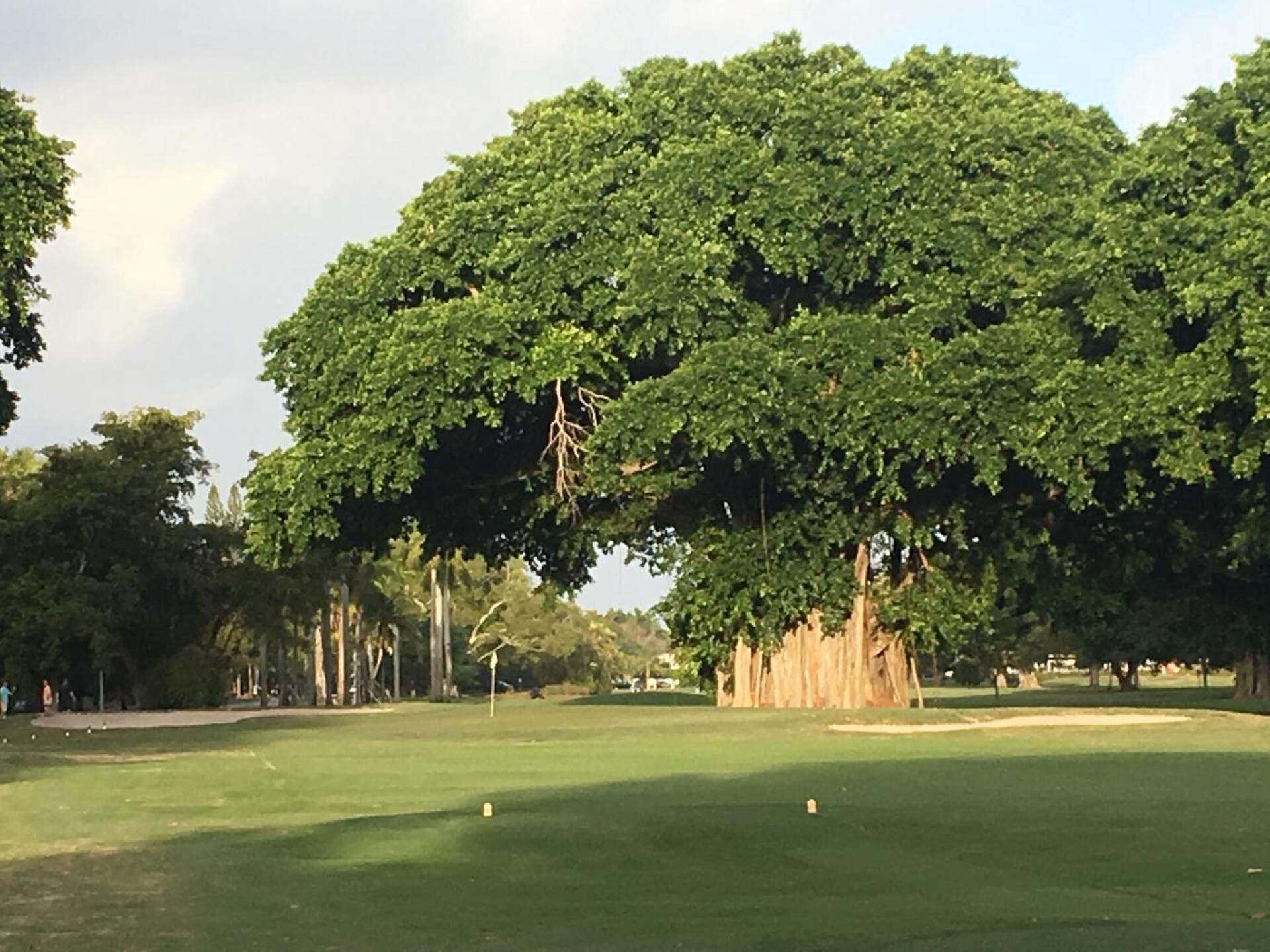 granada golf course 2