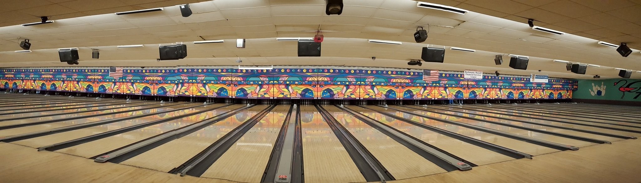flamingo bowl 6
