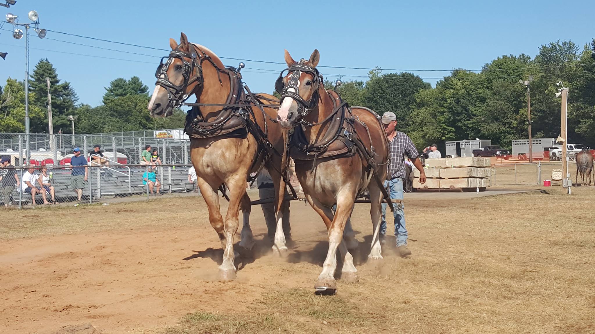 Spencer Fairgrounds 2
