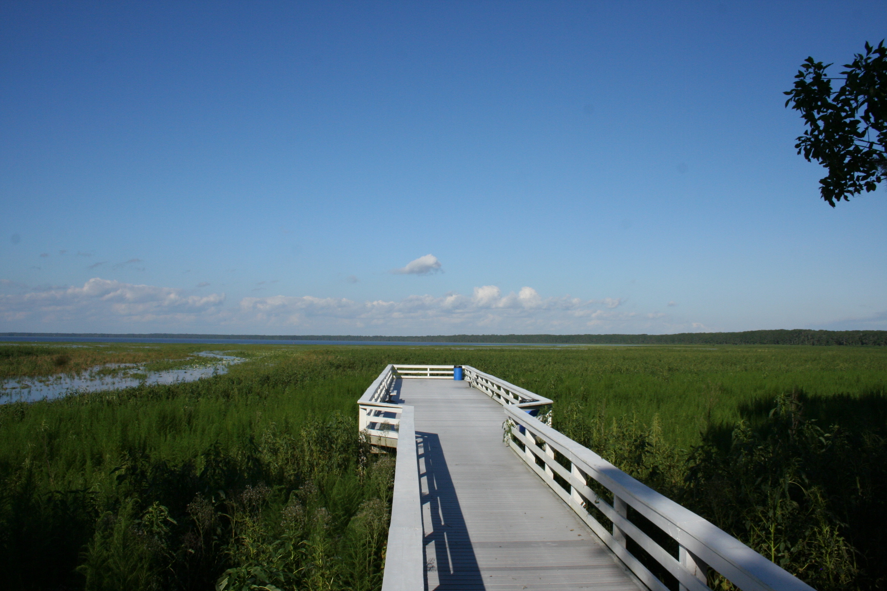 Newnans Lake 3
