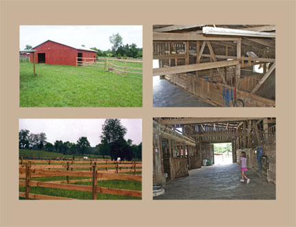 cage stables md