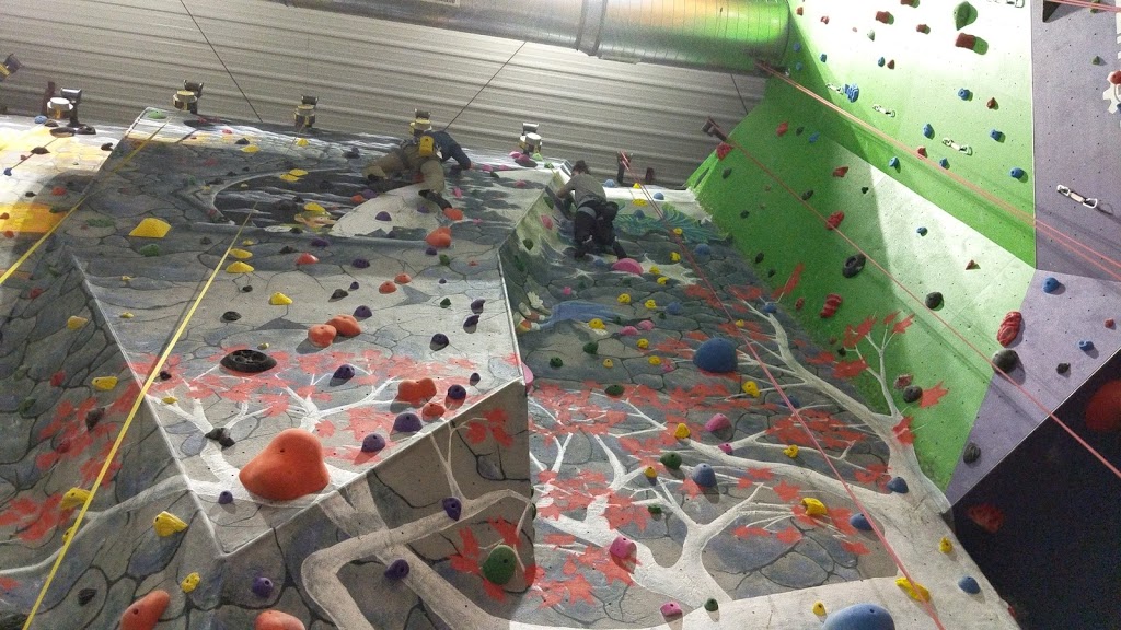 On The Rocks Climbing Gym6
