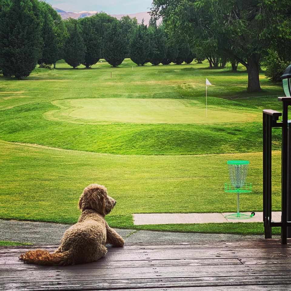 River Ridge Restaurant and Golf Course 1