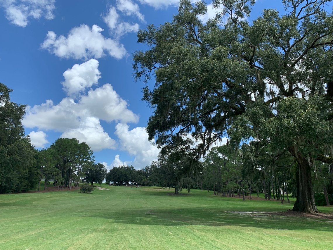 Ocala National at Golden Hills Country Club1