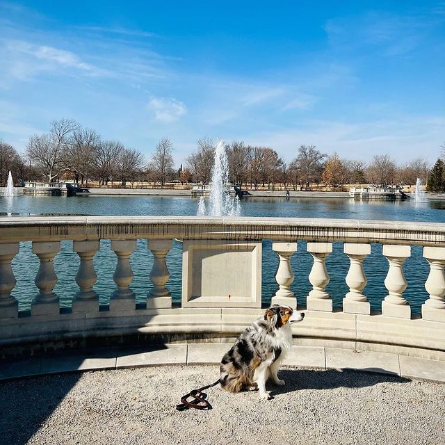 Forest Park3