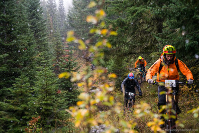 O'Leary Mountain Trail 1