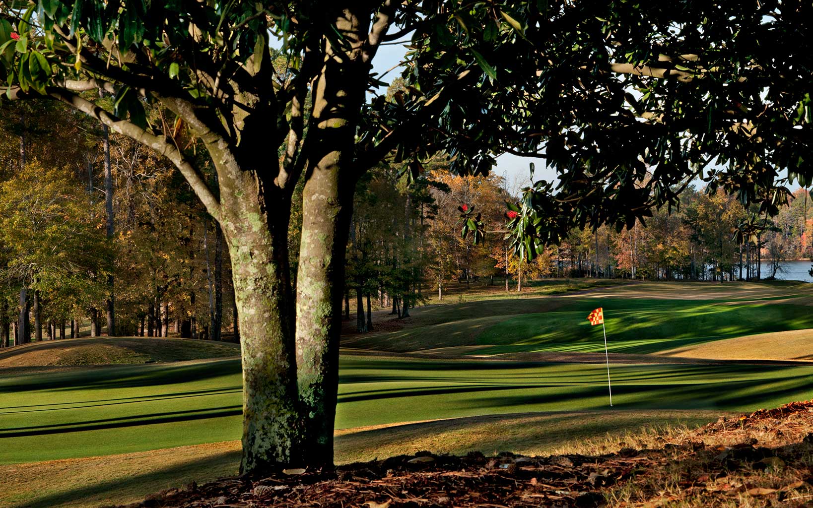 Robert Trent Jones Golf Trail - Grand National4