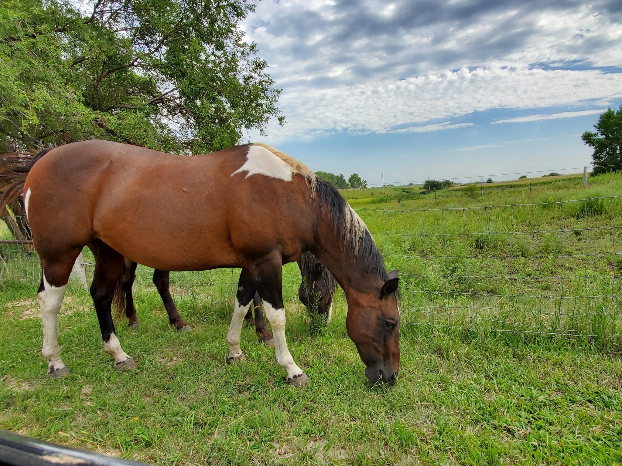 The Extra Mile Horseback Rides 2