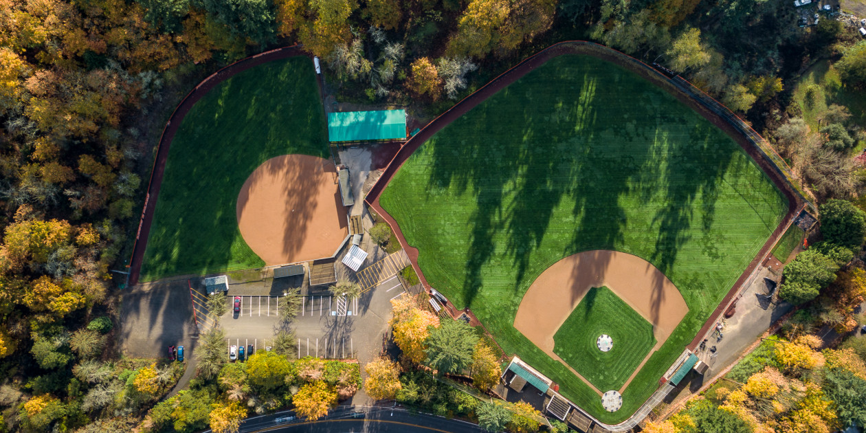 Lewis & Clark College 3