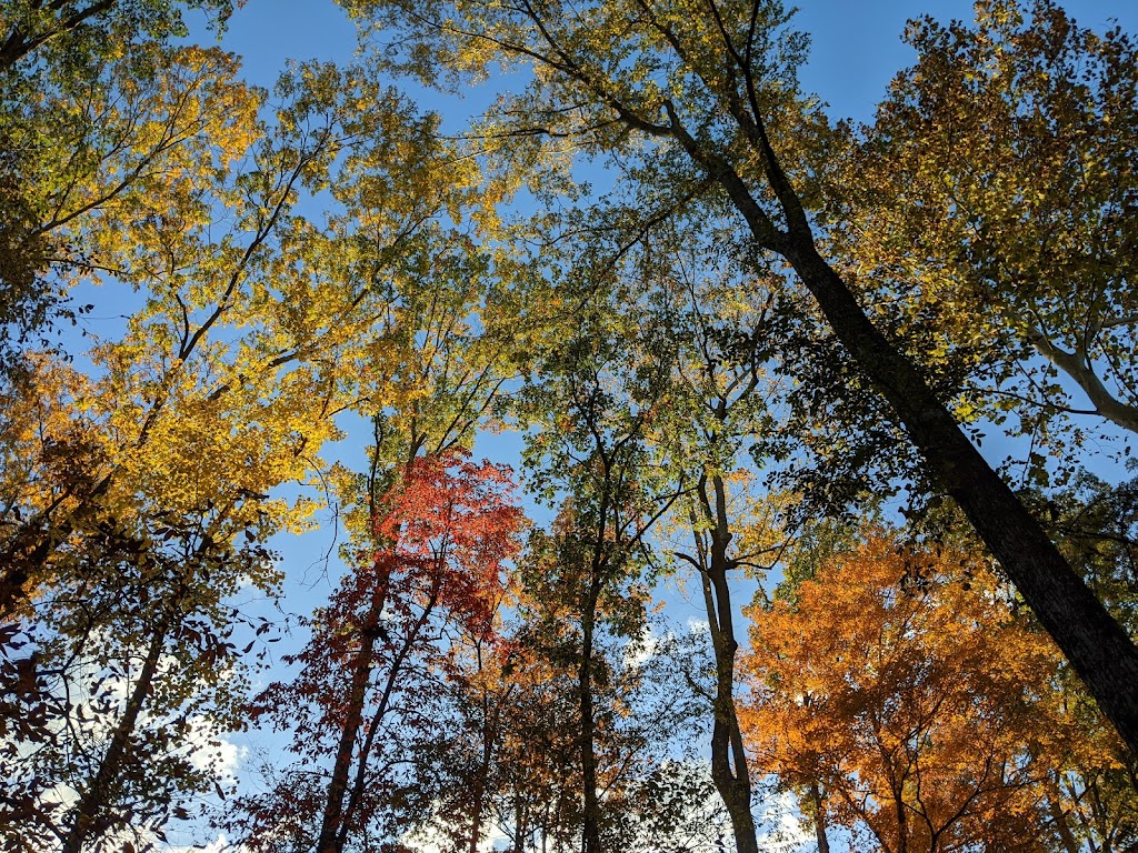 Indian Creek Greenway 6