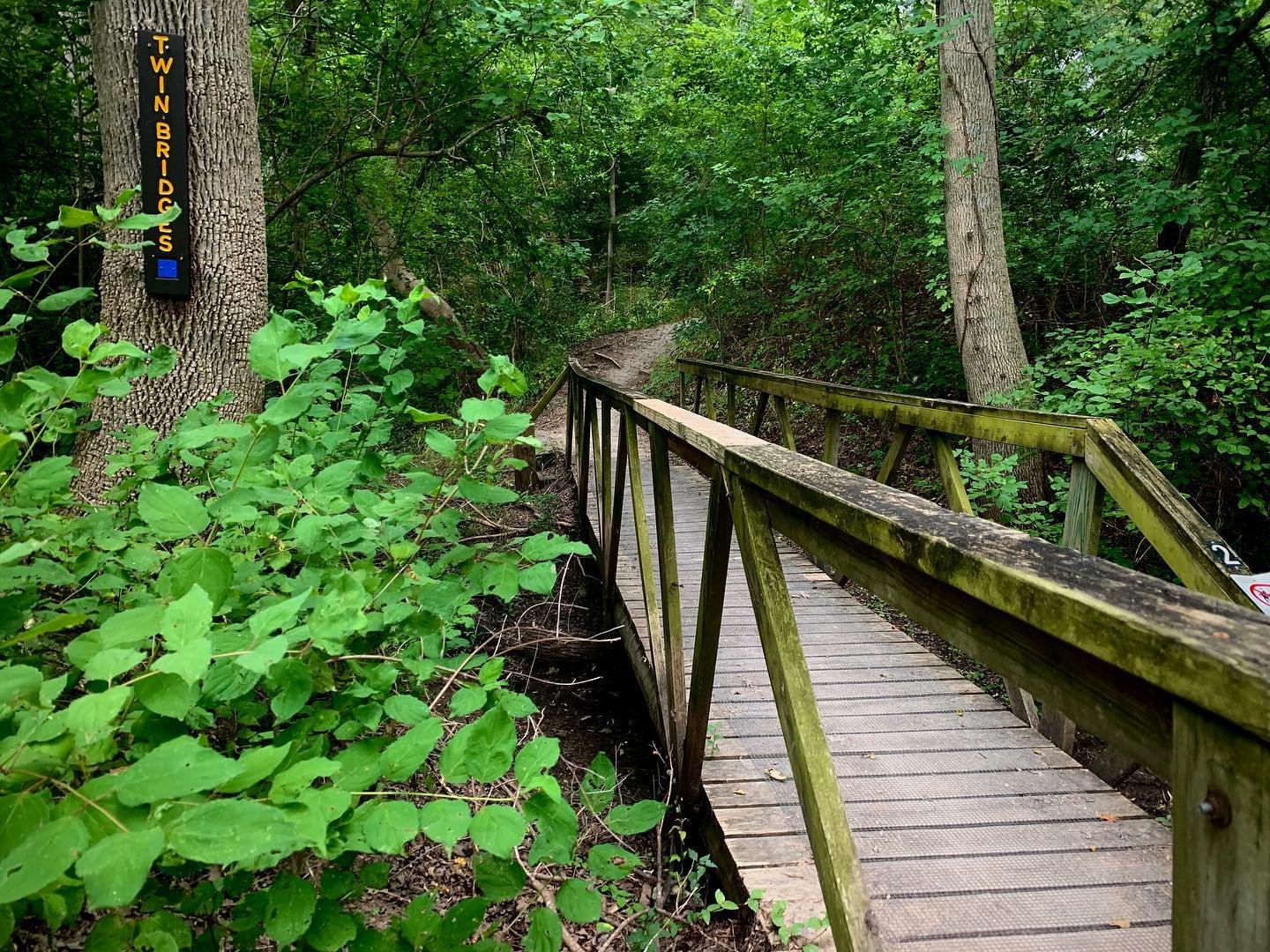 Cameron Park7