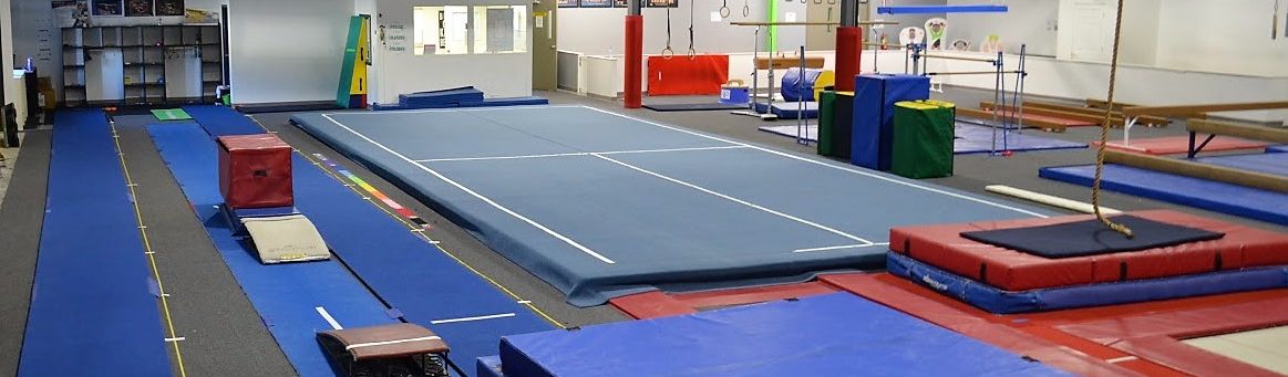 Kalamazoo Elite Gymnastics Academy 3