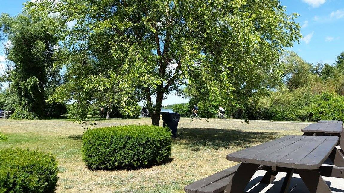 Medalie Park6