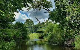 Paw Paw Park 2
