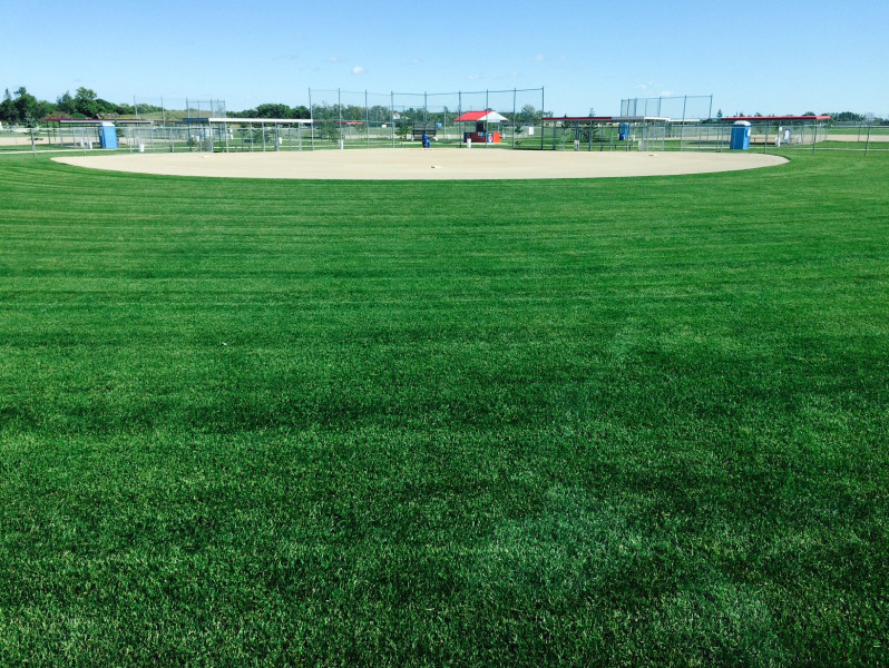 little mountain sportsplex.jpg