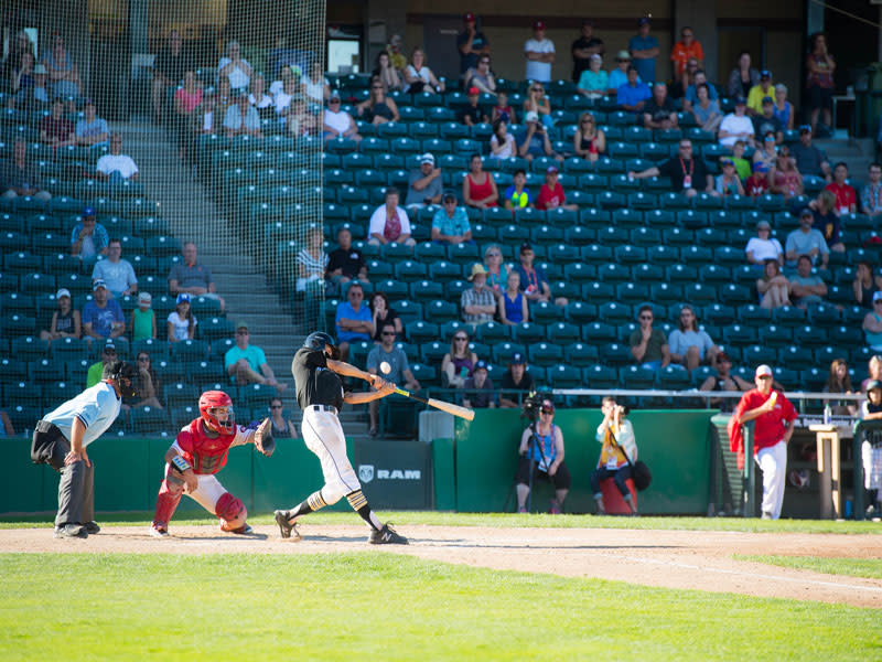 Shaw Park baseball.jpg