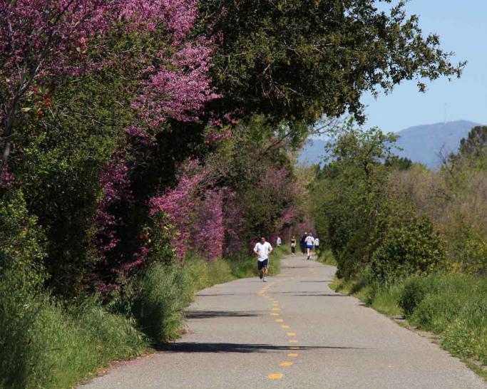 Los Gatos Creek Trail 3
