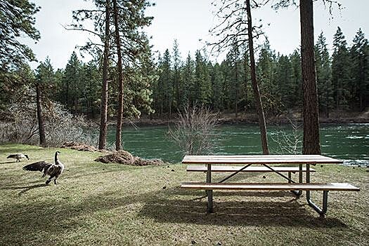 Riverside State Park8