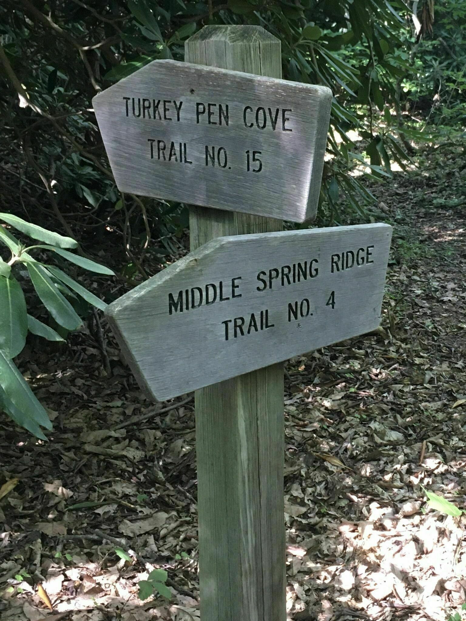 Turkeypen Cove5