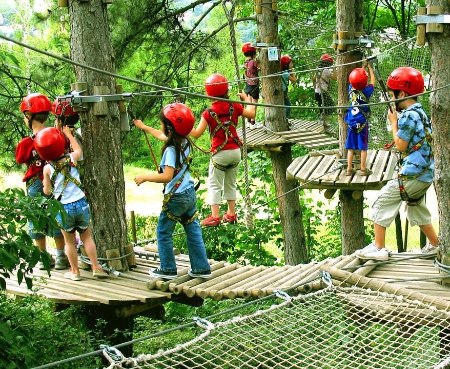 Treetop Quest4