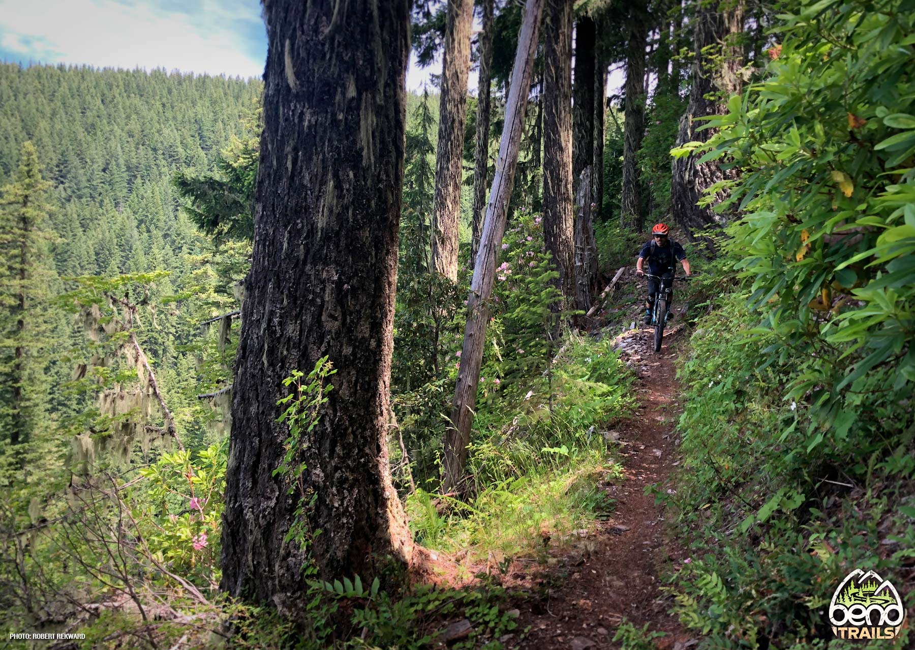 O'Leary Mountain Trail 3