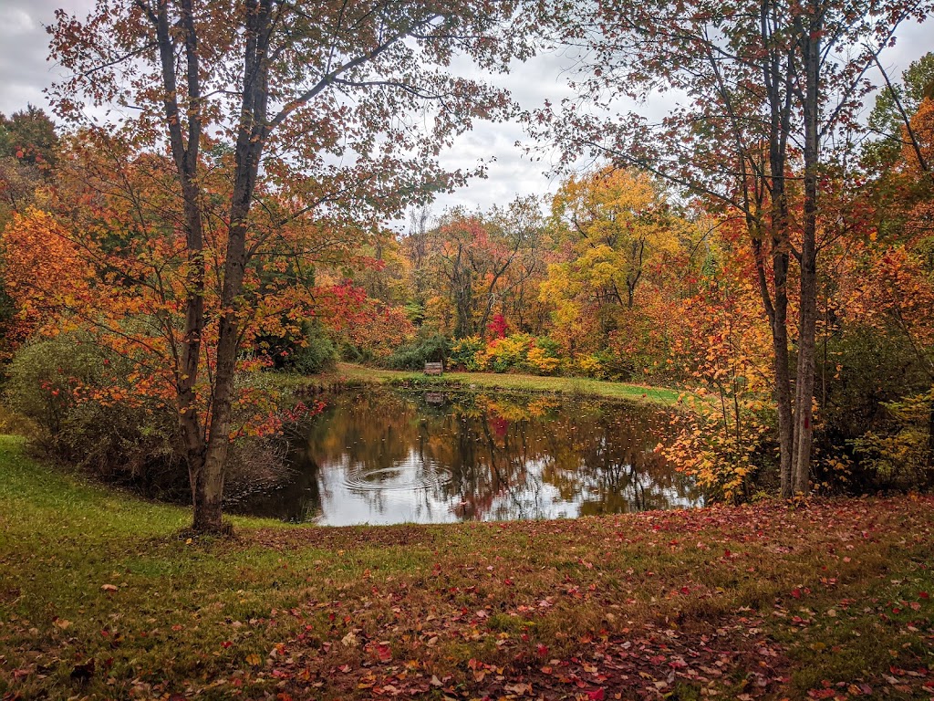 Broughtons Nature and Wildlife Education Area4
