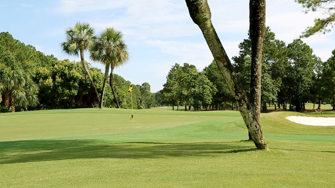Holiday Golf Club 2
