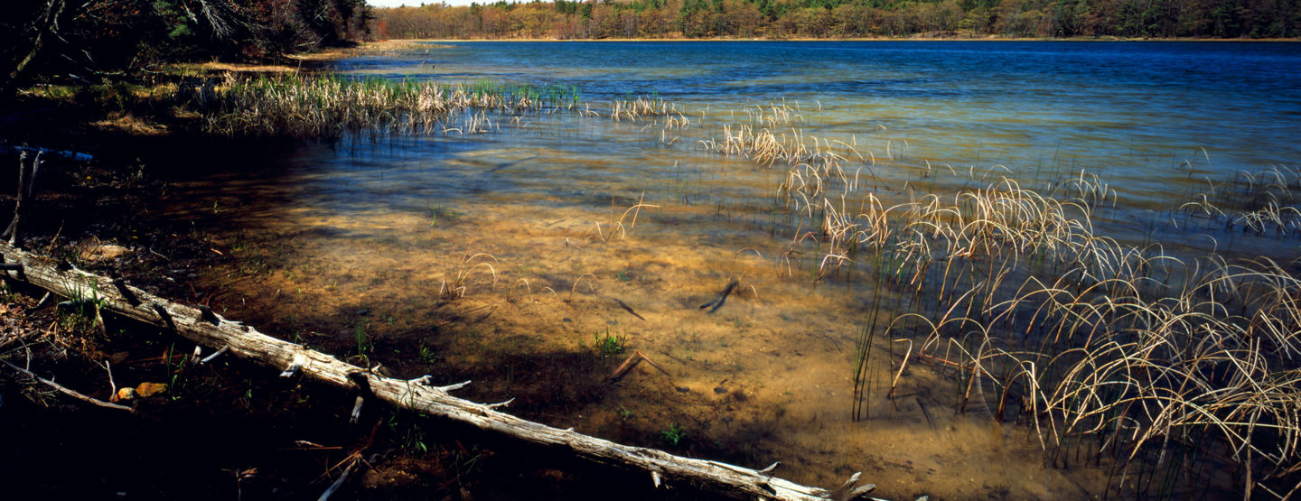 Kehl Lake Natural Area3