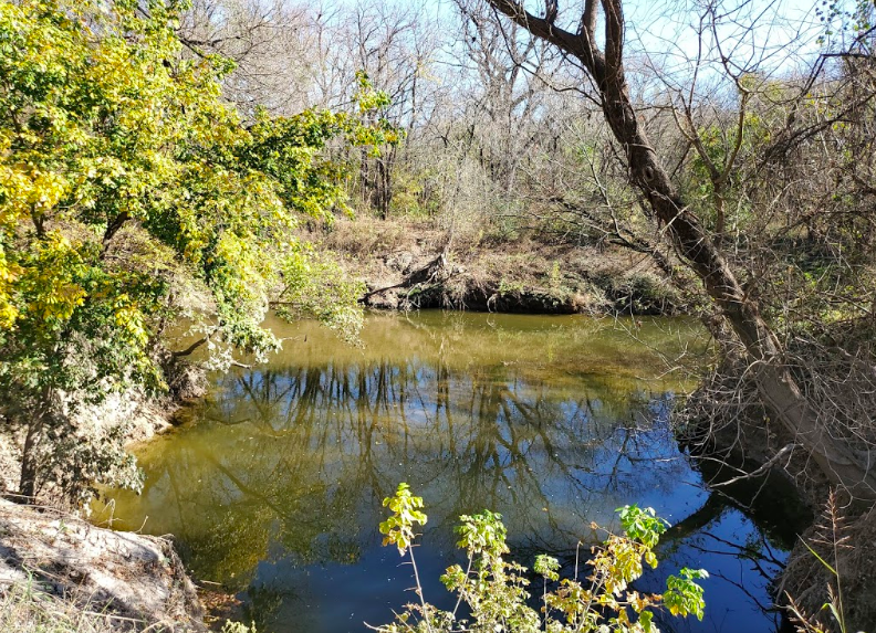 Rowlett Creek Preserve 6