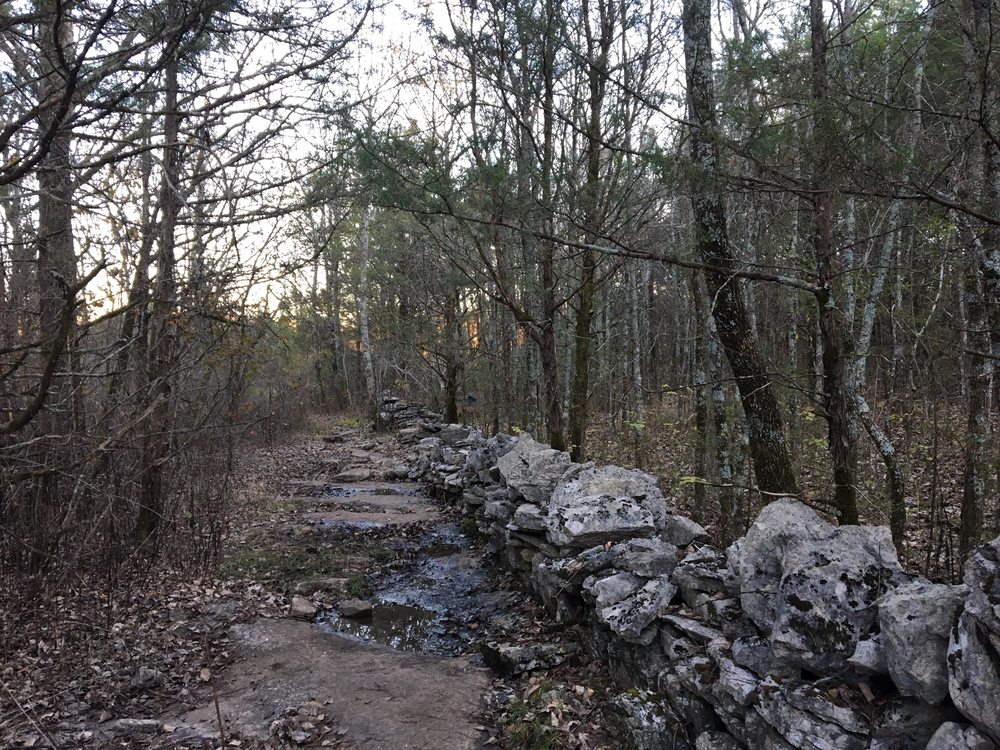 Barfield Crescent Park