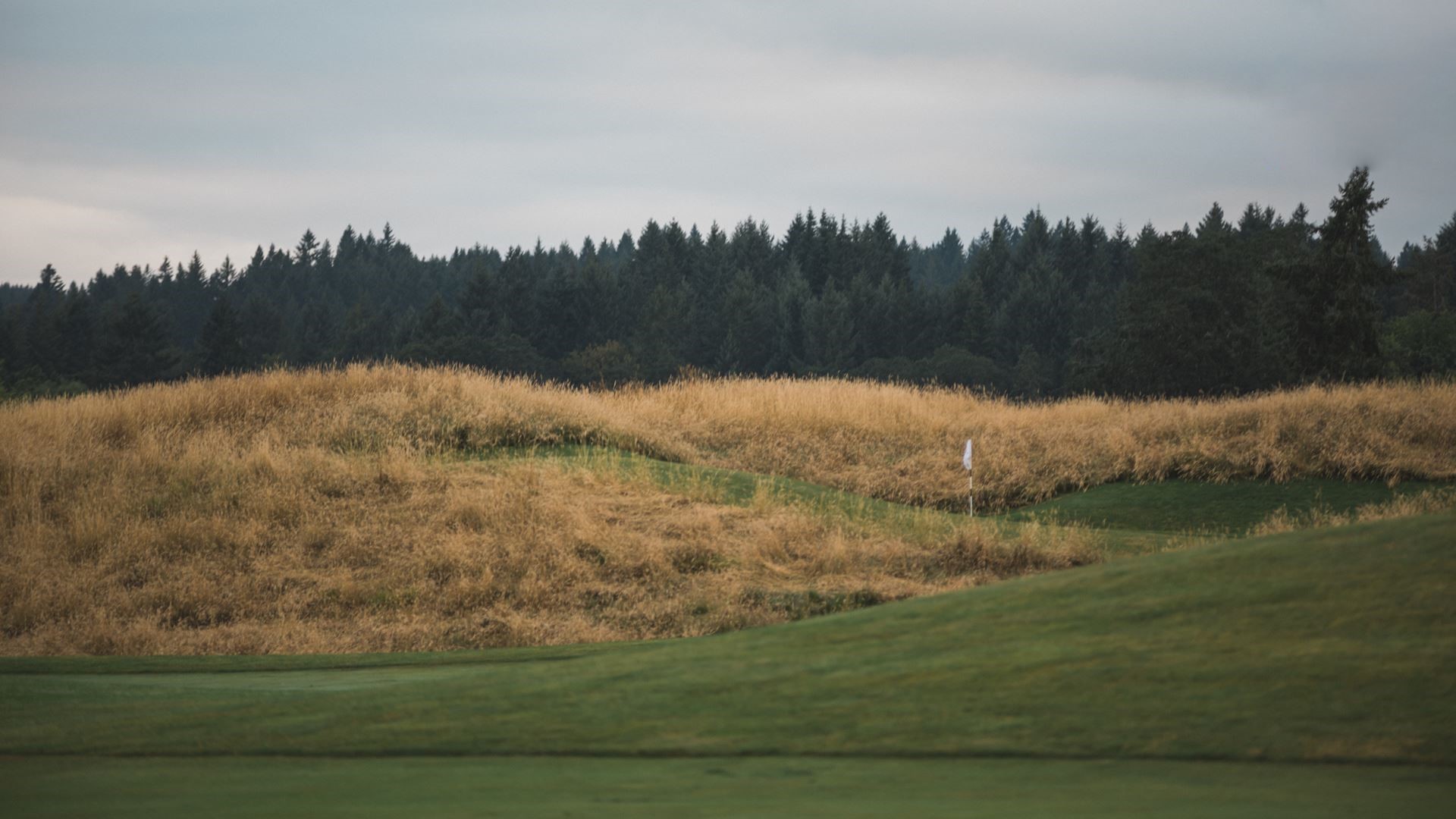 Pumpkin Ridge Golf Club5